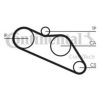 CONTITECH CT612 Timing Belt